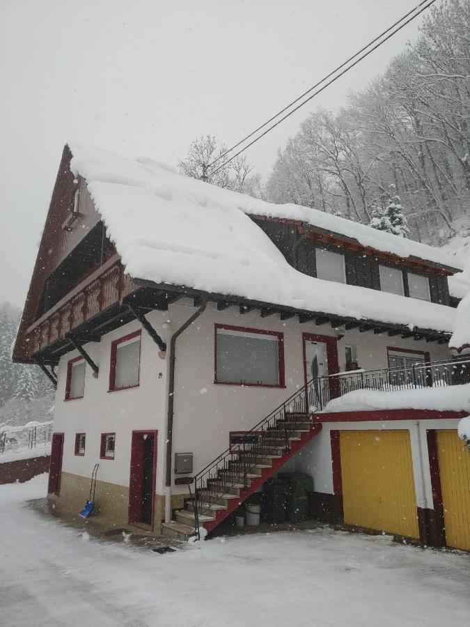 Sonnenblick Apartment Oberharmersbach